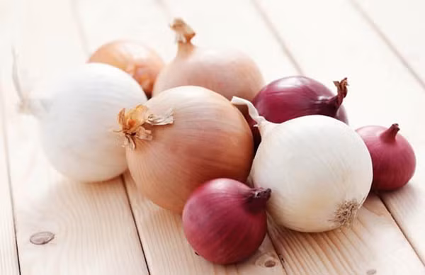 Làm mờ sẹo: Bôi hành tây mỗi ngày giúp mau lành các vết sẹo do phẫu thuật, vết cắt sâu để lại. 