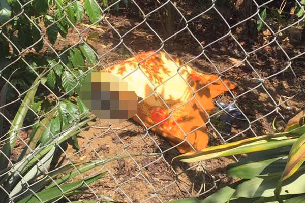 Tại đây, anh Trọng phát hiện một vật lạ nằm khuất trong gốc cà phê nên tới xem thì phát hiện thi thể nam thanh niên bị quấn chăn. Kiểm tra kỹ, anh hoảng hồn khi biết đó là em trai mình Đinh Đỗ Hữu (21 tuổi). (Ảnh: Công lý)