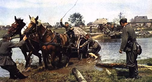 Mặc dù không được biên chế chính thức, tuy nhiên vẫn còn rất nhiều lực lượng quân đội các nước đóng quân ở những vùng hẻo lánh sử dụng ngựa thồ như một công cụ vận tải hàng hóa rất hữu hiệu vì chúng có thể chạy tốt trên những địa hình mà xe ô-tô không thể đi nổi. Nguồn ảnh: Olive.