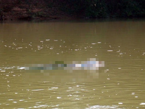 Theo hồ sơ vụ án, chiều 8/1/2013, người dân sống ven bờ kênh 1-5, ấp Tân Thành, xã Long Hưng (huyện Mỹ Tú, tỉnh Sóc Trăng) ngửi thấy có mùi hôi thối khác thường. Phát hiện mùi thối bốc lên từ chiếc bao vàng nổi lên mặt nước, mở ra thấy có xác người, người dân ấp Tân Thành liền trình báo Công an xã Long Hưng, Công an xã Mỹ Tú (Sóc Trăng). (Ảnh minh họa, nguồn ảnh: Internet)