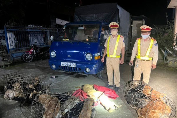 Quá trình điều tra, Công an huyện Lắk xác định Hoàng là chủ xe, còn Hòa là người điều khiển chiếc xe tang vật chở 28 con chó nói trên. Tại cơ quan điều tra, bước đầu các nghi phạm khai nhận thường xuyên dùng xe tải đến huyện Lắk (Đắk Lắk) và huyện Đam Rông (Lâm Đồng) dùng kích điện bắt trộm chó. Số chó sau khi trộm cắp được, nhóm này bán cho các đầu nậu ở nhiều tỉnh phía bắc. Hiện vụ việc đang được cơ quan chức năng điều tra, làm rõ. 