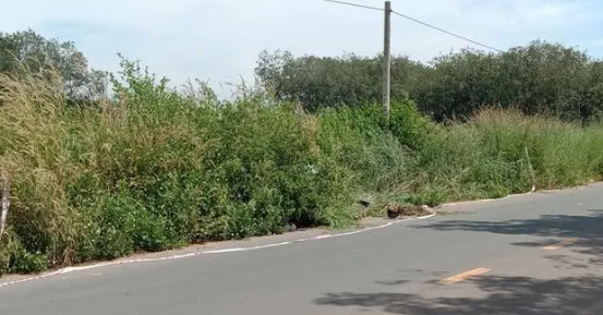  Một người chết bên cạnh đám cỏ bị ngã rạp: Sáng 6/11, một người dân đi cạo mủ cao su ở khu vực phường Minh Hưng, thị xã Chơn Thành, tỉnh Bình Phước phát hiện chiếc xe máy mang biển số 36G5-024.61 nằm bên lề đường. Lại gần kiểm tra thì phát hiện 1 nam thanh niên tử vong trong bụi cỏ. Tại hiện trường, ngoài chiếc xe máy nằm cách thi thể nạn nhận vài mét còn có 1 chiếc nón bảo hiểm. Bên cạnh đường, một khu vực cỏ cao lút đầu bị ngã rạp xuống sát đất. Hiện vụ việc đang được cơ quan chức năng điều tra, làm rõ. 