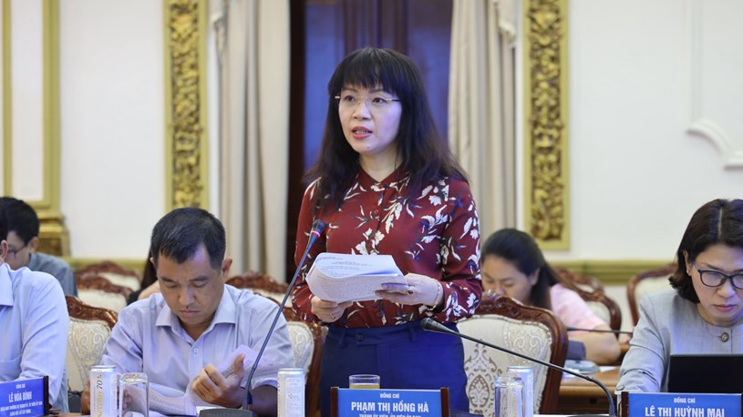 Bà Phạm Thị Hồng Hà sinh ngày 19/1/1970, quê quán tỉnh Thái Bình. Bà Hà có trình độ Thạc sĩ Tài chính - Ngân hàng, Thạc sĩ Ngữ văn Anh - Pháp - Nga, Cử nhân Kinh tế. 