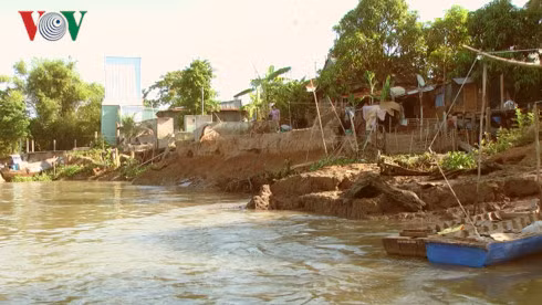 Hanh dong khan han che su tan ra dong bang Song Cuu Long-Hinh-2