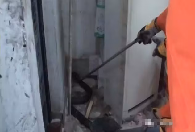 Mới đây, tại một nhà xưởng ở Thản Châu, Trung Sơn, Quảng Đông, Trung Quốc, một nữ công nhân đã suýt ngất xỉu, không thể giữ bình tĩnh khi phát hiện một con rắn hổ mang chúa có độc tính cực cao ẩn nấp trong nhà vệ sinh. (Nguồn Sina)