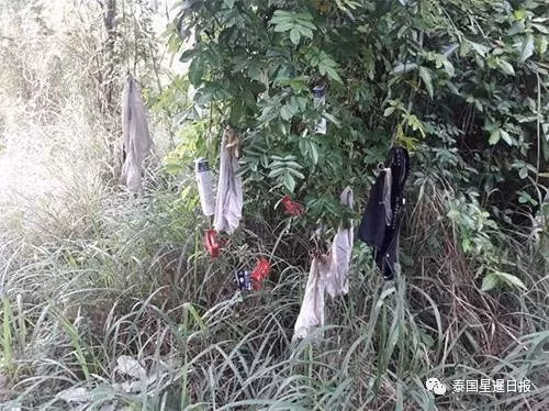 Đồ lót vương vãi, treo trên cành cây, bao cao su vứt đầy dưới đất ở khu vực kỳ quái khiến người xem không khỏi kinh ngạc. (Nguồn Sina)