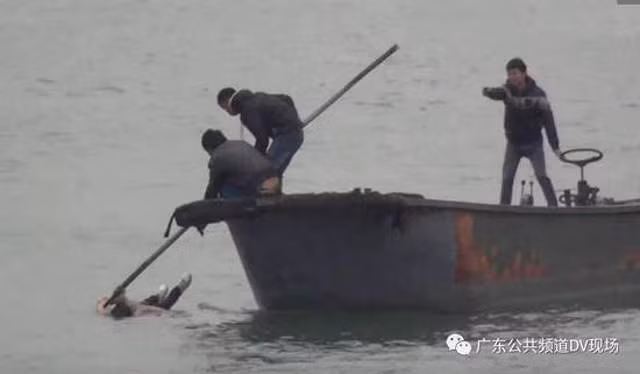 Sau khi nhìn thấy cô gái trôi nổi trên sông, người qua đường đã gọi cứu hộ. Một chiếc thuyền cứu hộ được cử ra để cứu cô gái nhưng họ phải dùng gậy tre để cứu cô gái vào bờ mà không dùng phao. (Nguồn Shanghaiist)