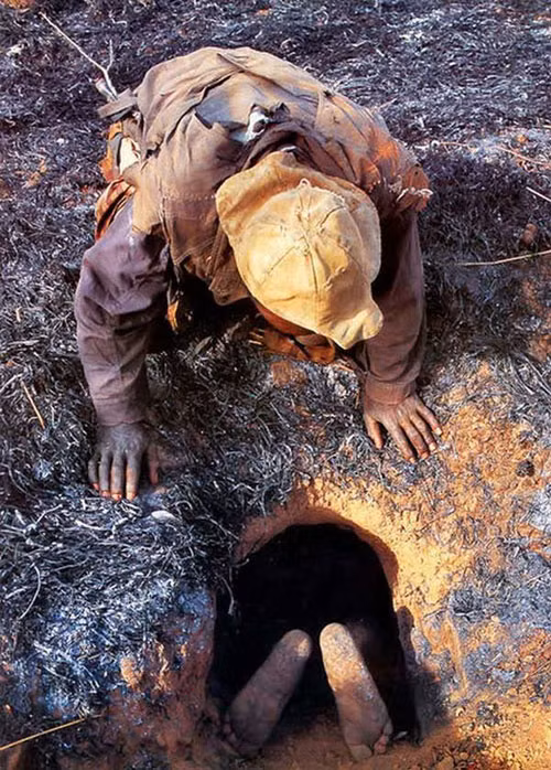 Không chỉ dùng chân bắt trăn, những người bản địa châu Phi còn có cách câu trăn rùng rợn hơn, đó là mạo hiểm mạng sống của mình, chui vào hang trăn khổng lồ để tay không bắt chúng.