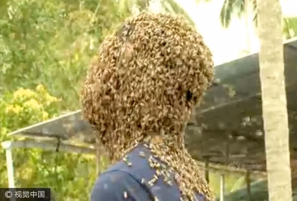 "Tôi có thể để ong bậu kín mặt, thậm chí cả người bởi tôi có mối quan hệ khăng khít với bầy ong. Sự tồn tại của chúng khiến tôi cảm thấy thoải mái", chàng trai Nature M.S nói. (Nguồn Sina)