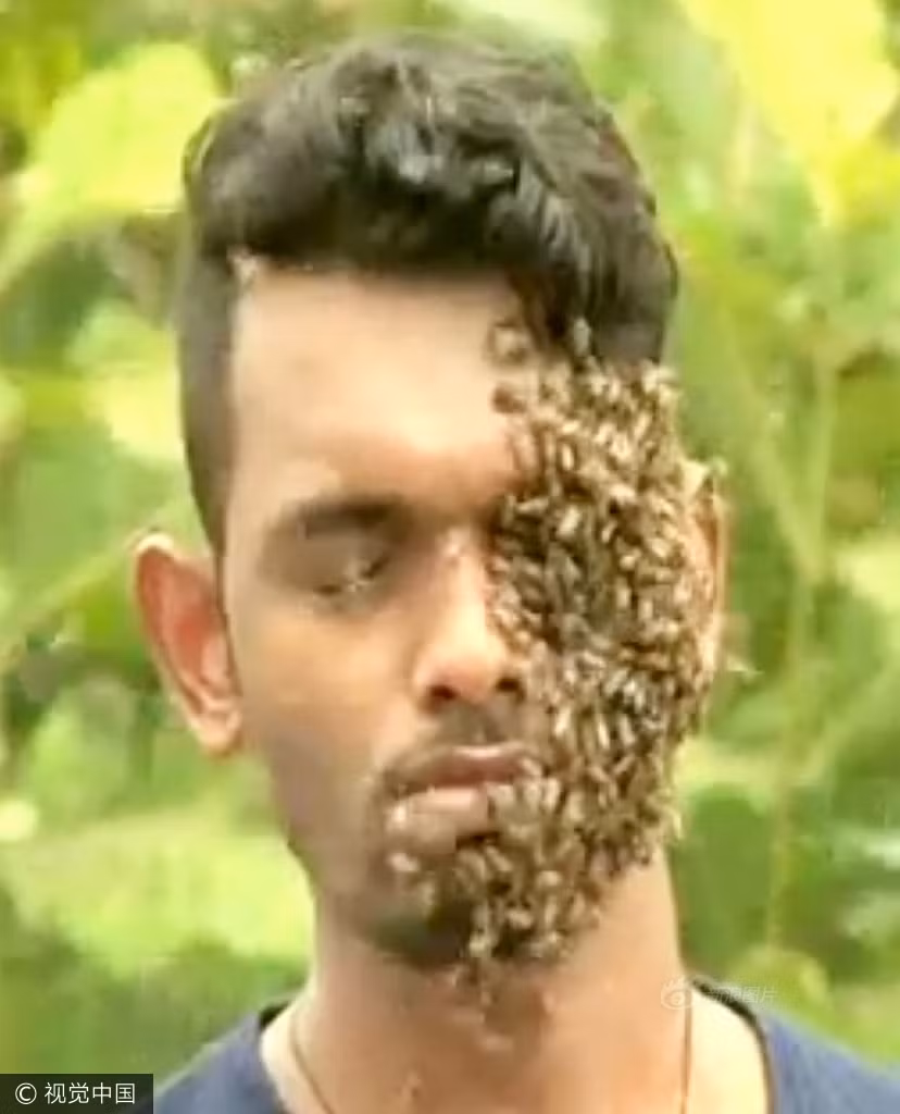 Nature M.S thực hiện clip để 60000 con ong bu kín mặt và đầu của mình là để thu hút sự chú ý của mọi người, từ đó truyền đi thông điệp rằng những con ong không hề đáng sợ, hung hăng như nhiều người vẫn tưởng. Trái lại chúng là những con côn trùng chăm chỉ, thân thiện. (Nguồn Sina)