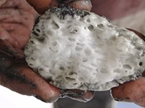 Nếu không có quy trình khai thác đúng và an toàn, con người có thể gây nên thảm họa nhà kính toàn cầu, thậm chí gây ra hiện tượng sóng thần do các thềm lục địa đổ ập xuống. (Nguồn Sina)