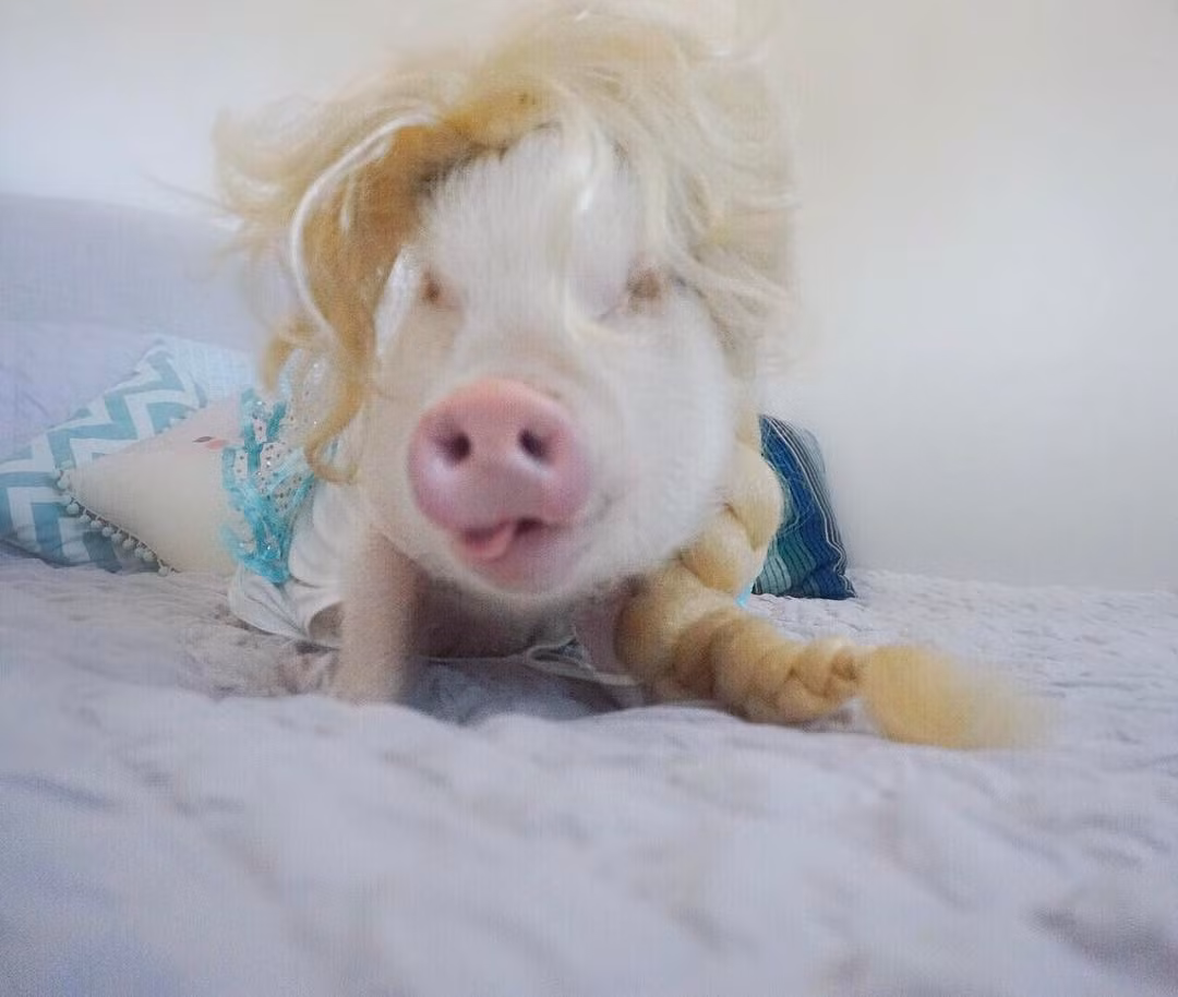 Thậm chí, Melanie Gomez đã ví thời gian đó như thử thách leo lên đỉnh núi Everest, rất đau đớn và khủng hoảng. (Nguồn Bored Panda)