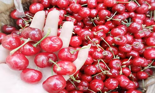 Cherry Trung Quoc 90.000/kg ban tran lan-Hinh-2