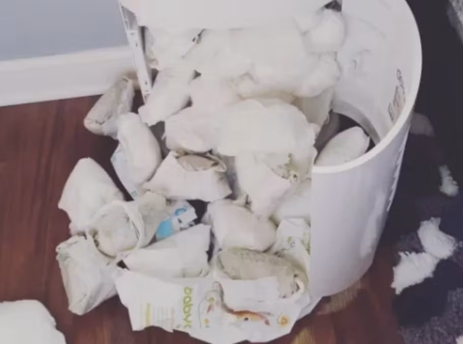 Lũ trẻ nhét đầy tã bẩn vào trong thùng rác như này, làm cha mẹ lại một phen dọn dẹp mệt nghỉ.