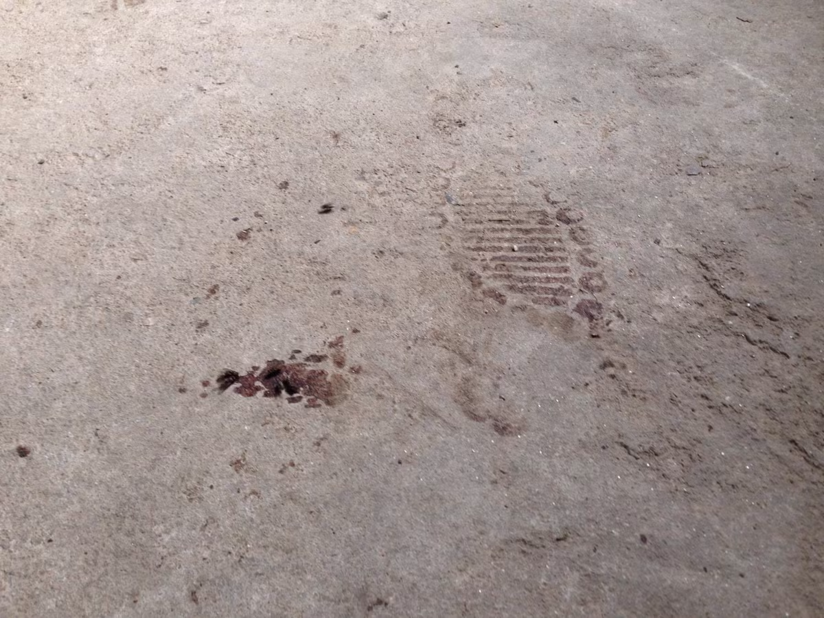 Căn cứ tính chất đặc biệt nghiêm trọng của vụ án, chuyên án truy xét đã được xác lập để tập trung chỉ đạo điều tra, huy động tối đa mọi lực lượng, phương tiện nhanh chóng điều tra làm rõ vụ án, Bộ trưởng Bộ Công an cho thành lập Ban chỉ đạo chuyên án do đồng chí Thượng tướng Lê Quý Vương, Thứ trưởng Bộ Công an làm Trưởng ban chỉ đạo, Cục Cảnh sát Hình sự và các lực lượng nghiệp vụ của Bộ Công an, Công an tỉnh Quảng Ninh, Hải Phòng tham gia.