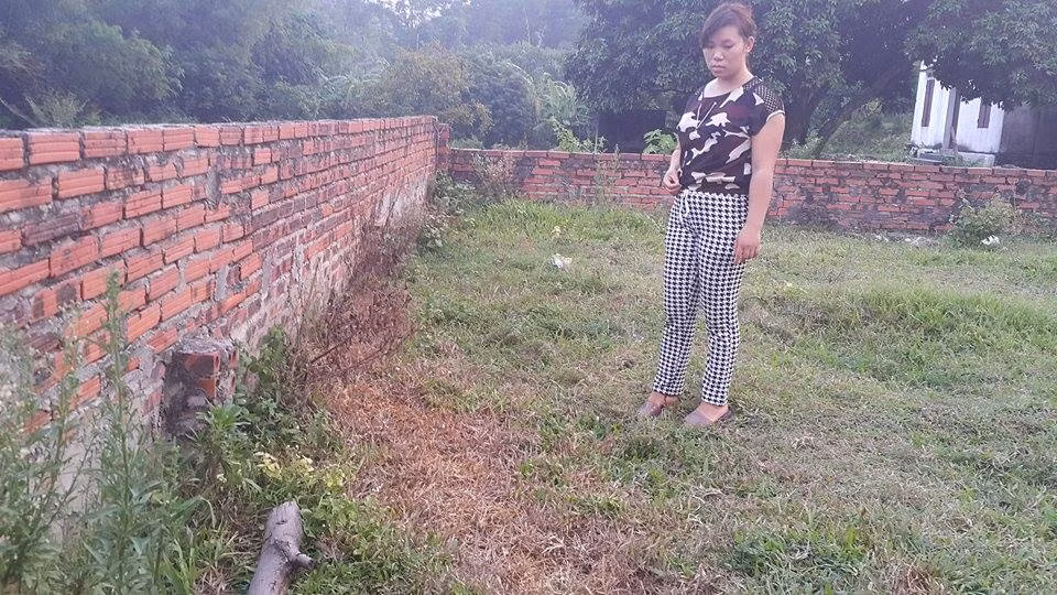 Quang Ninh: Rung dong cha ep con uong thuoc doc chet-Hinh-4