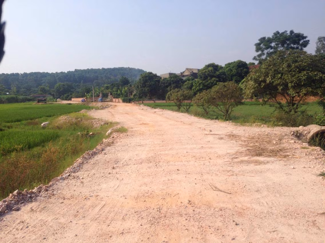 Tổng số tiền trong tháng 7/2016, công ty Đại Phong đã thu 50.000.000 đồng.