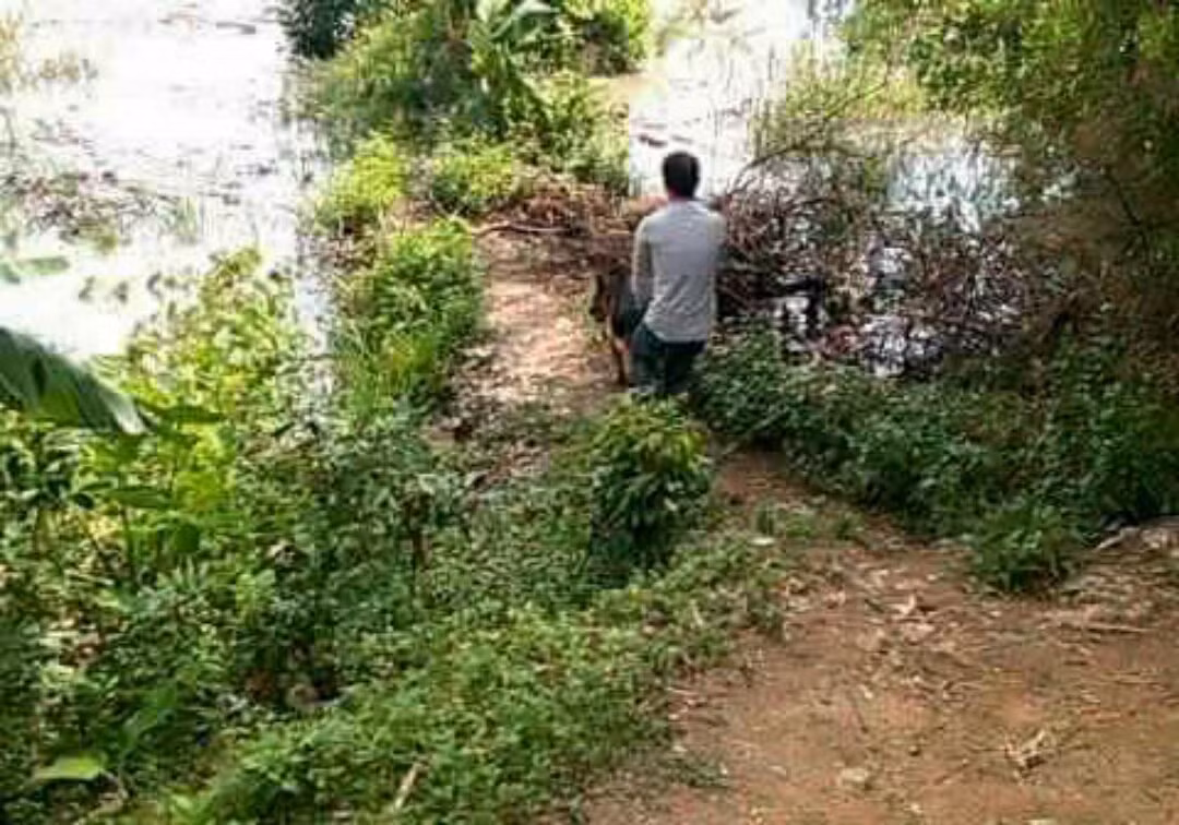 Chó nghiệp vụ được huy động để phá án (Ảnh người dân cung cấp).