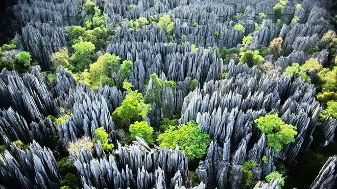 Có diện tích tự nhiên hơn 2.381 triệu km2, Algeria có diện tích tự nhiên lớn nhất châu Phi. Tiếp theo là các quốc gia khác như Cộng hòa dân chủ Congo, Ai Cập, Libya.