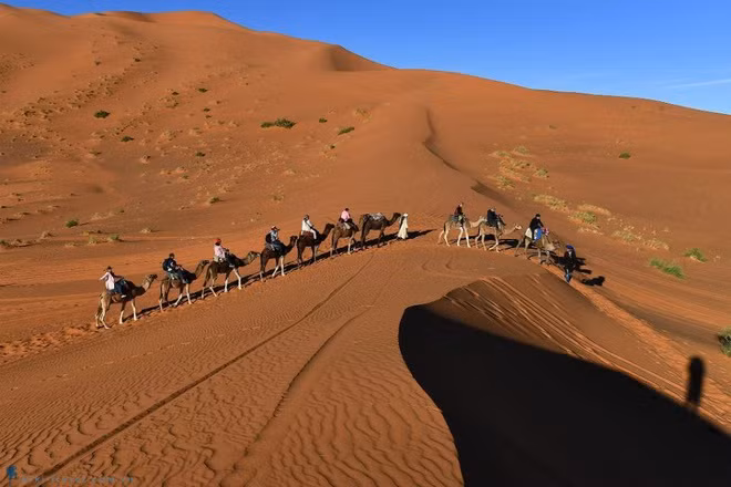 Theo World Atlas, Sahara nóng nhất trên Trái Đất, có nơi lên đến 57,7 độ C. Với diện tích 9 triệu km2, Sahara cũng là sa mạc lớn nhất thế giới, và là hoang mạc lớn thứ ba của Trái Đất. Sa mạc này chạy dài 5.000 km từ đông sang tây Phi, bao gồm Mauritania, Morocco, Algeria, Tunisia, Lynia, Ai Cập, Sudan, Niger và Mali.