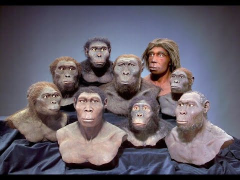 Theo các nhà khoa học Đức, khoảng 3 triệu năm trước, Trái Đất có 4 loài người cùng tồn tại. Sau khi nghiên cứu kỹ hóa thách hominin tìm thấy ở Kenya, Ethiopia và Chad, các nhà khoa học người Đức kết luận khoảng 3 triệu năm trước, 4 loài người khác biệt cùng tồn tại trên Trái Đất. Nhưng họ không thể xác định sự liên quan giữa 4 loài hay liệu họ có tương tác với nhau không.