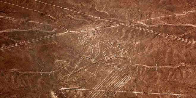 Nazca Lines có nhiều hình vẽ nhất về động vật, thực vật, khoảng 70 loài như nhện, chim ruồi, cây xương rồng, khỉ, cá voi, vịt, hoa, cây, thằn lằn, chó.
