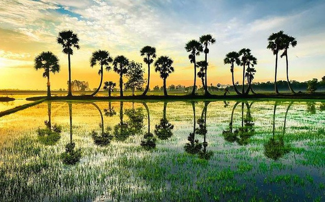 Huyện núi Tri Tôn giáp biên giới Campuchia, cách trung tâm hành chính Long Xuyên khoảng 57 km. Đây là huyện miền núi có diện tích lớn nhất ở An Giang, được xem là xứ sở của cây thốt nốt.