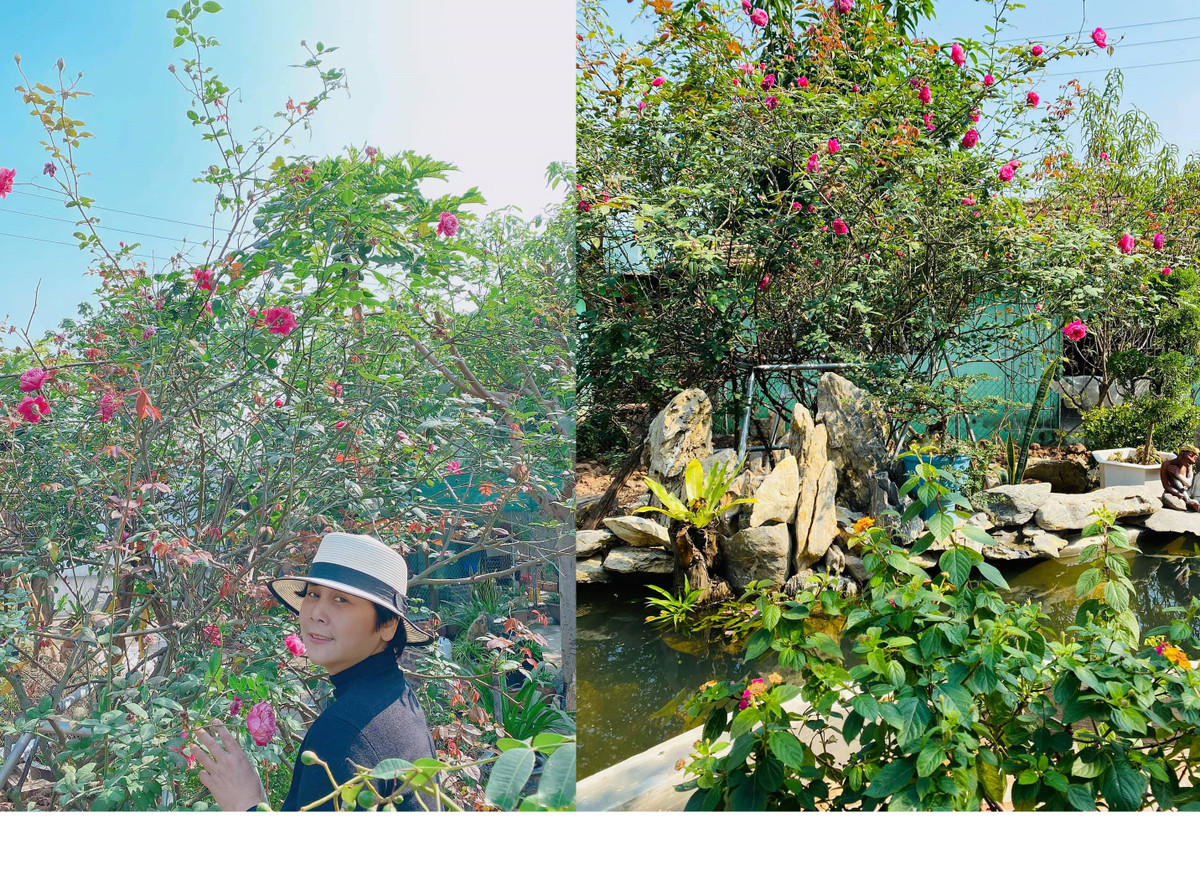 Chị từng chia sẻ: "Ông trời không cho tôi quyền sinh nở nhưng lại cho tôi những đứa con ngoan. Các con của chồng rất yêu quý và tôn trọng tôi. Ngày 20/10, khi mình còn đang ngủ thì cậu con trai đã ôm 40 bông hoa đứng ở đầu giường để tặng mình rồi. Không sinh ra các con nhưng chúng yêu tôi như một người mẹ, cho nên tôi thấy mình là người hạnh phúc và may mắn".