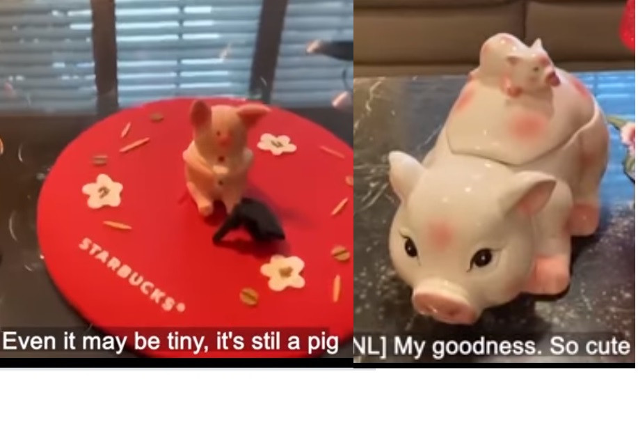 Mẹ con nhà heo hay chú heo đất bé xíu được trang trí trên bàn uống nước.