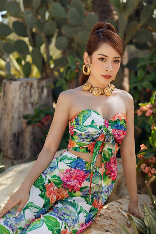 Trong thời gian đầu ra mắt khán giả với tư cách ca sĩ, Chi Pu còn gây sốc với những phát ngôn gây tranh cãi như: “Ở Việt Nam cứ cầm mic lên đã là ca sĩ”.