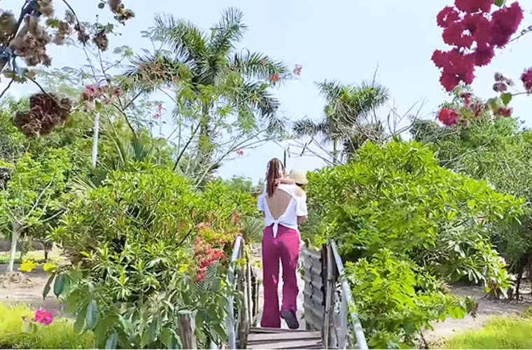 Đây là nơi Minh Hằng thường rủ gia đình, bạn bè tới nghỉ ngơi vào dịp cuối tuần. Ngoài các loại rau củ, cây ăn quả như dừa, mận, bầu, bí… giọng ca "Một vòng trái đất" còn thả cá, nuôi gà ở khu vườn. (Ảnh: Vietnamnet)