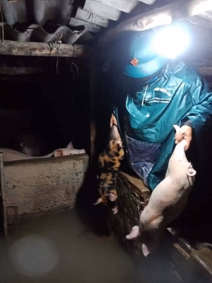 Thuy Tien cuu tro dan Le Thuy, Cong Vinh than troi que nha ngap-Hinh-3