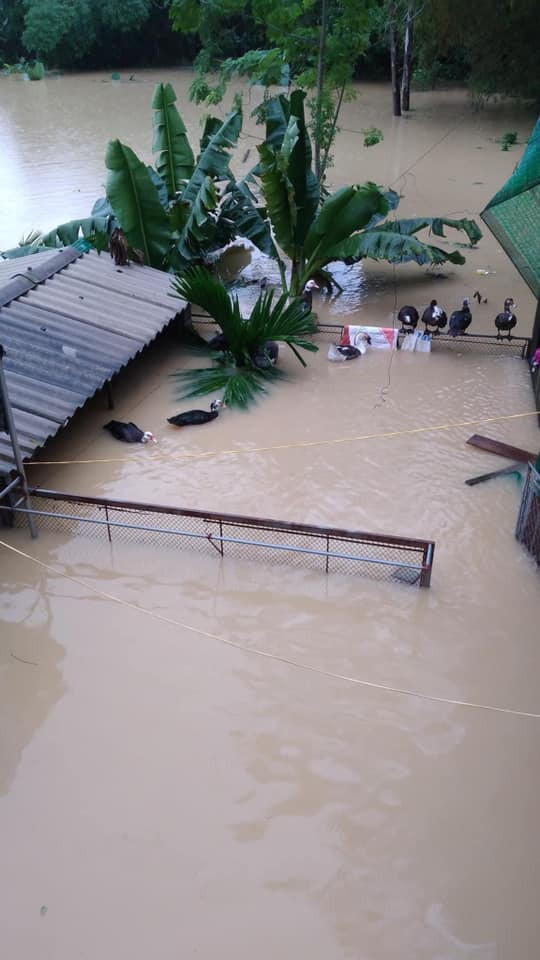 Thuy Tien cuu tro dan Le Thuy, Cong Vinh than troi que nha ngap-Hinh-2