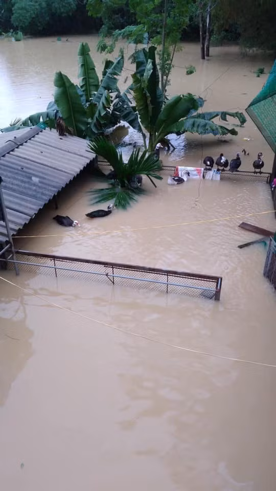 Thuy Tien cuu tro dan Le Thuy, Cong Vinh than troi que nha ngap-Hinh-2