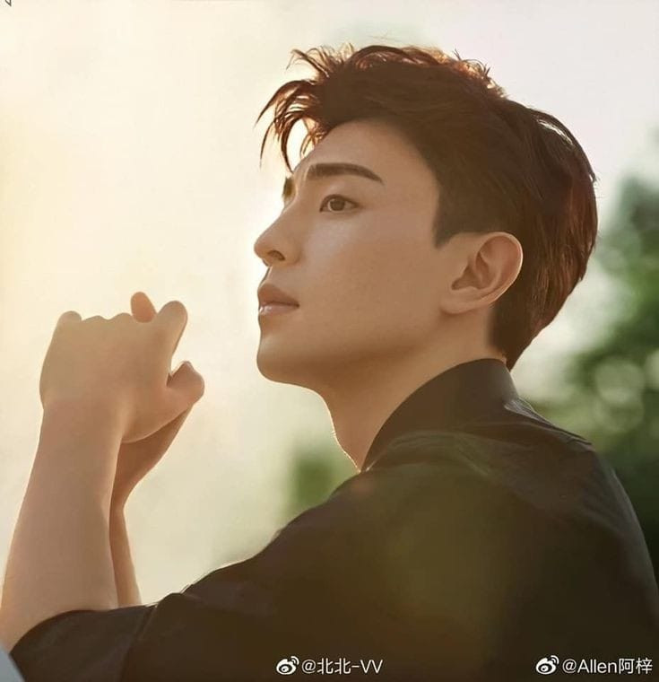 Tham gia nhiều bộ phim trước đó, nhưng chỉ đến "Nghìn lẻ một đêm” và “Hương mật tựa khói sương”, Đặng Luân mới vụt sáng trở thành ngôi sao.