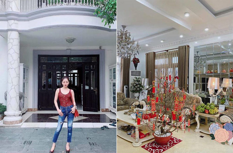 Giọng ca Giấc mơ có thật sở hữu hai biệt thự khủng ở Việt Nam và Mỹ. Gia đình nhỏ của Lệ Quyên đang sống trong một biệt thự ở Thảo Điền, quận 2 (TP.HCM).