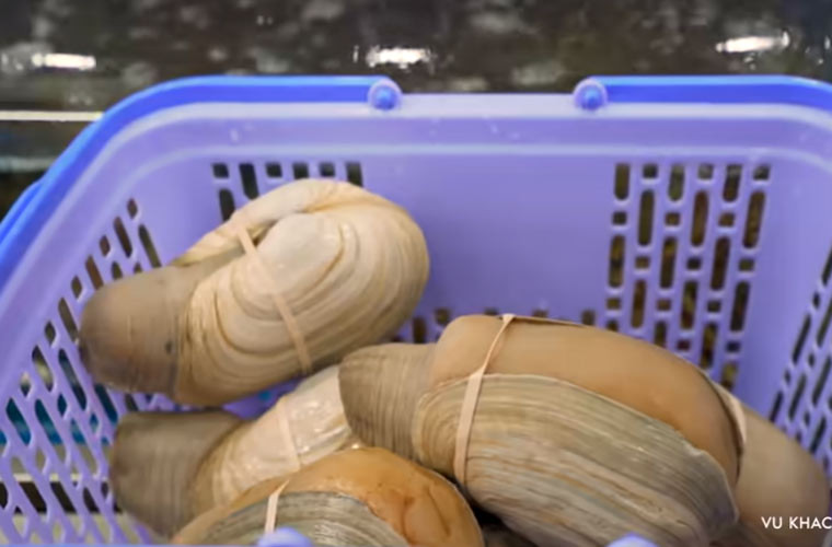 Rổ ốc vòi voi Vũ Khắc Tiệp chọn.