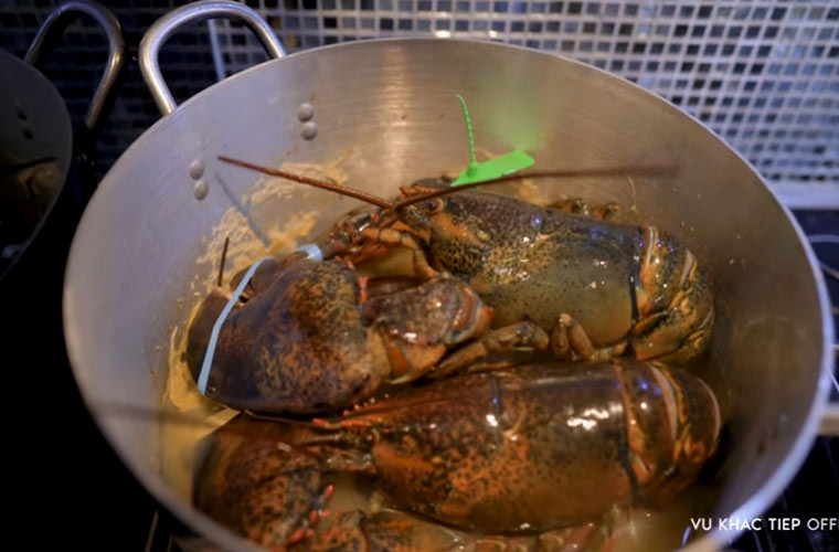 Tôm hùm Alaska được chế biến trong bếp.