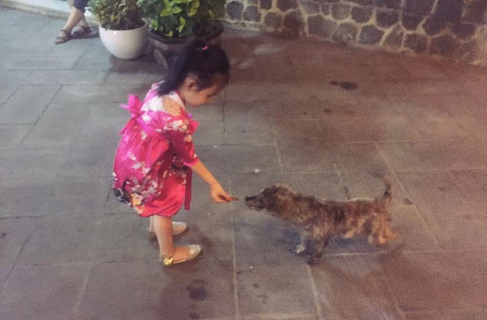 Tháng 1/2013, Thủy Tiên và Công Vinh đón con gái đầu lòng chào đời, đặt tên ở nhà là Bánh Gạo.