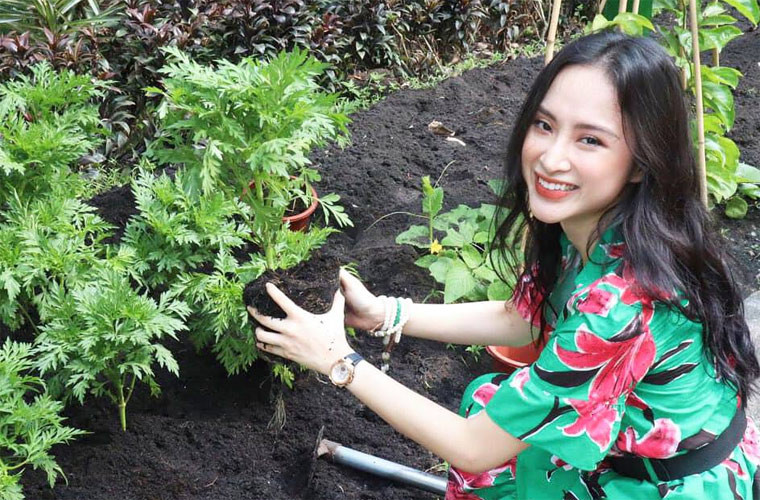 Vẻ đẹp dung dị của Angela Phương Trinh nhận được lời khen của rất nhiều fan.