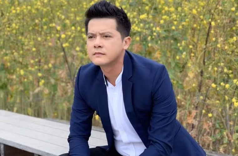 Lý do mà Hoàng Anh đưa ra là cát-sê đóng phim truyền hình thấp mà một năm anh chỉ đóng 2 phim không đủ duy trì cuộc sống nên anh sang Mỹ tìm cơ hội mới dù không dễ dàng gì.