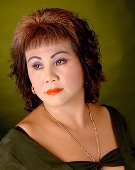 Nghệ sĩ Hoàng Lan sinh năm 1959 ở miền Tây. Bà trở thành diễn viên đoàn kịch nói Cửu Long Giang khi mới 17 tuổi. Hoàng Lan ghi dấu ấn với khán giả khi tham gia chương trình Trong nhà ngoài phố đầu những năm 1990 và các bộ phim như: Cô thư ký xinh đẹp (2000), Cổng mặt trời (2010)...