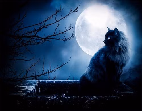 Diem bao phong thuy am chi van xui sap bua vay nha ban-Hinh-2