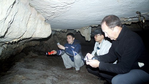 Chuyện gia Paul Dingwall tại động Người Xưa.