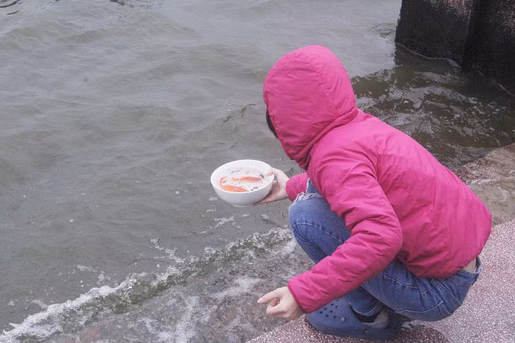 Một người dân sau khi cúng xong nghi lễ đã hóa vàng và phóng sinh cá chép vàng xuống hồ Tây.