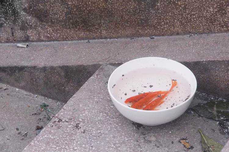 Muon kieu tien ong Cong ong Tao len troi cua nguoi HN-Hinh-2