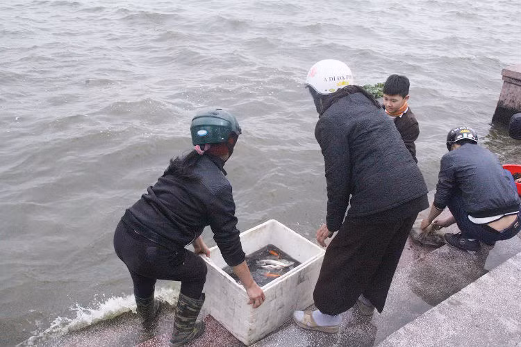 Hoặc dùng thùng xốp để đựng cá.