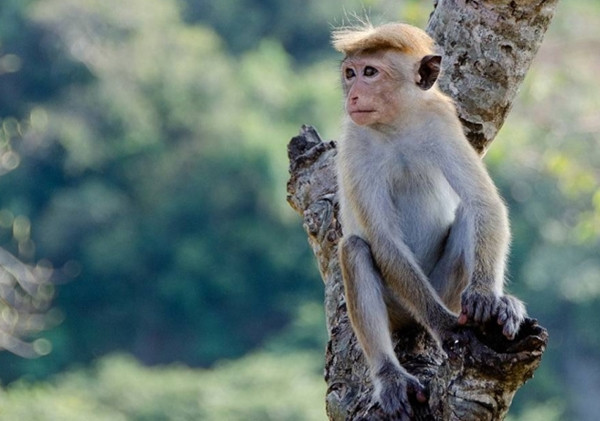 Ra ban cong, be gai bi bay khi tan cong chet tuc tuoi vi...