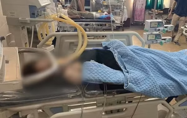 Bo thanh nguoi thuc vat, con gai khong cham lai duoc ung ho vi...