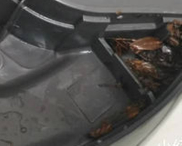 Cuoi nam ve sinh noi com dien, co gai khoc ngat vi dieu nay